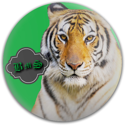 Design 102340 Disc Golf and Ultimate Discs