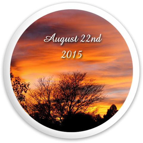 Design 102795 Disc Golf and Ultimate Discs