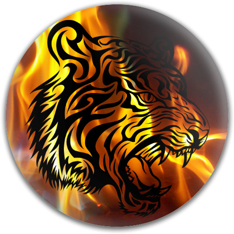 Design 105501 Disc Golf and Ultimate Discs