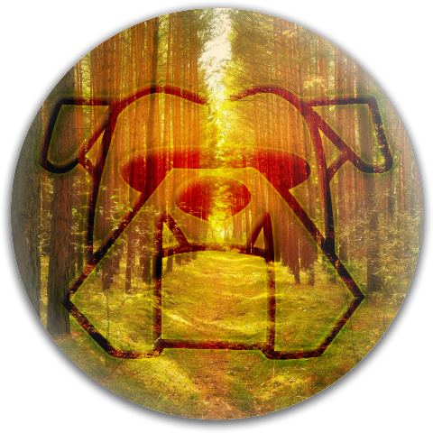 Design 105466 Disc Golf and Ultimate Discs