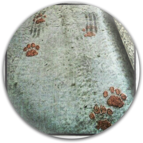 Design 99875 Disc Golf and Ultimate Discs