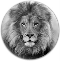 Aslan