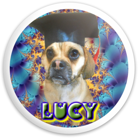 Design 113953 Disc Golf and Ultimate Discs