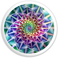 Design 114535 Disc Golf and Ultimate Discs Image