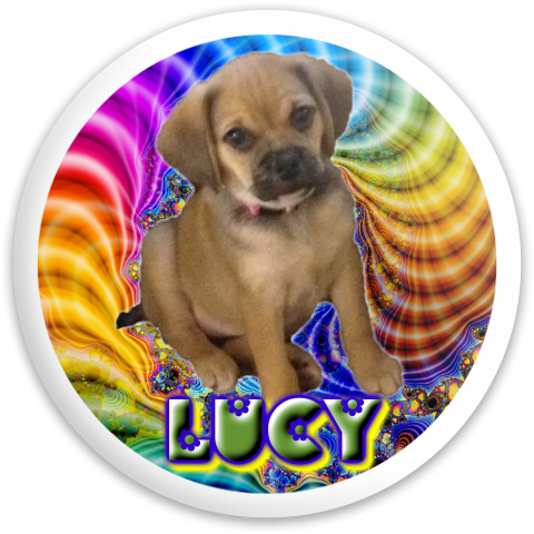 Design 114924 Disc Golf and Ultimate Discs