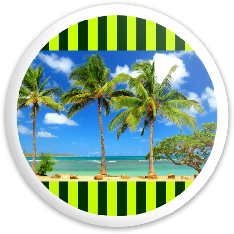 Design 107132 Disc Golf and Ultimate Discs