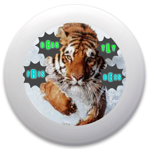 Design 106997 Disc Golf and Ultimate Discs