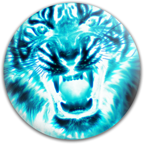 Design 152913 Disc Golf and Ultimate Discs