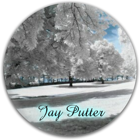 Design 228710 Disc Golf and Ultimate Discs
