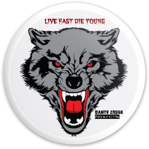 Design 242543 Disc Golf and Ultimate Discs
