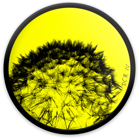 Design 244278 Disc Golf and Ultimate Discs