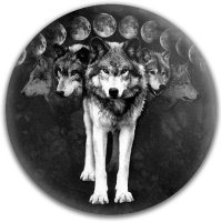 Wolfpack Disc Golf and Ultimate Discs Image
