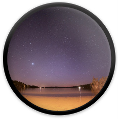 Design 240408 Disc Golf and Ultimate Discs Image