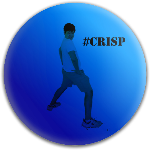 Design 261001 Disc Golf and Ultimate Discs