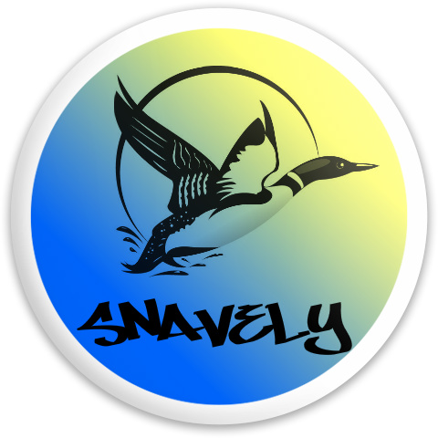 Design 260569 Disc Golf and Ultimate Discs