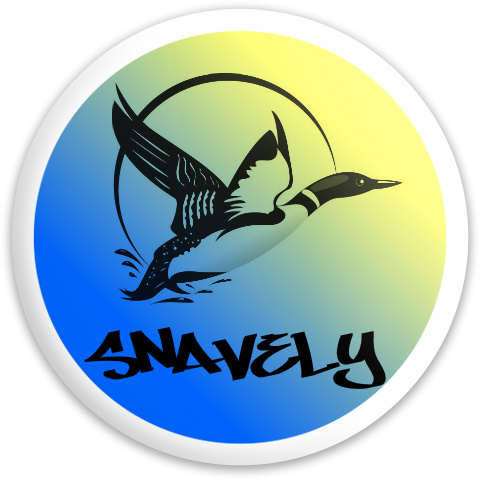 Design 260562 Disc Golf and Ultimate Discs