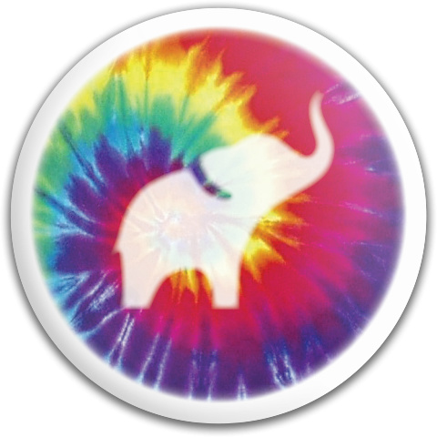 Design 263289 Disc Golf and Ultimate Discs