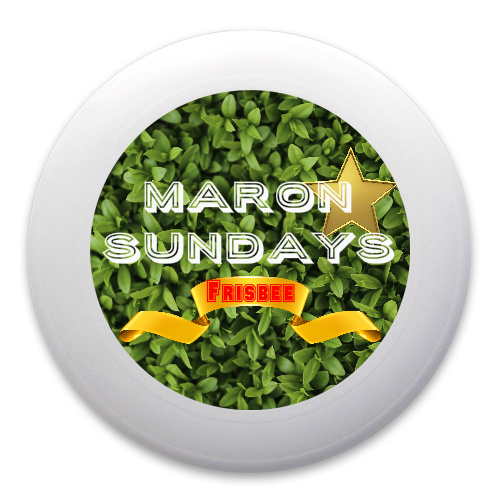Design 267104 Disc Golf and Ultimate Discs