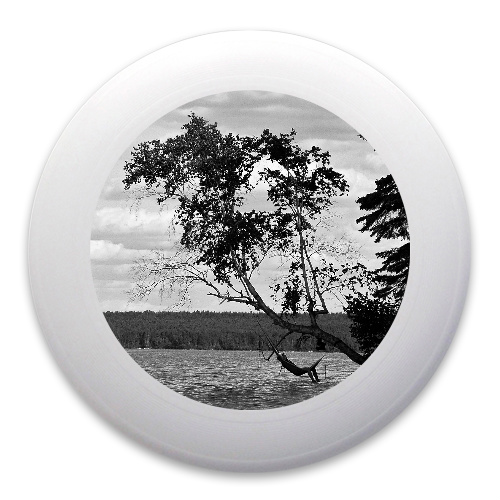 Design 257780 Disc Golf and Ultimate Discs