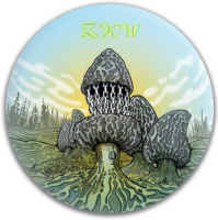 Design 257552 Disc Golf and Ultimate Discs Image