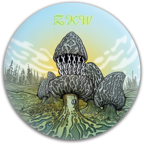 Design 257552 Disc Golf and Ultimate Discs