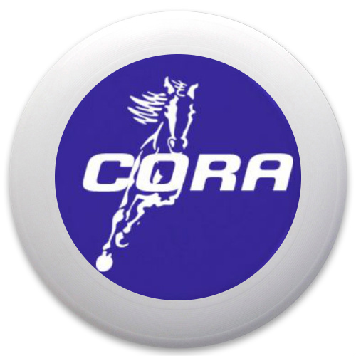 Design 159952 Disc Golf and Ultimate Discs
