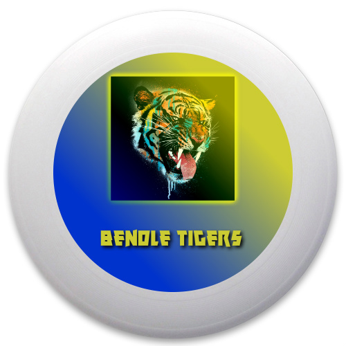 Design 160271 Disc Golf and Ultimate Discs