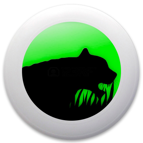 Design 160432 Disc Golf and Ultimate Discs