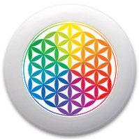 Design 155998 Disc Golf and Ultimate Discs Image