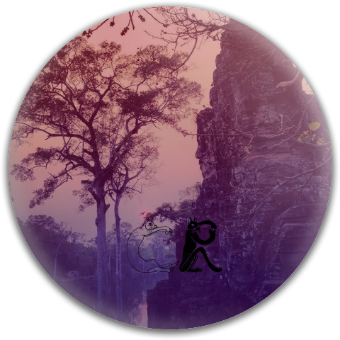Design 165743 Disc Golf and Ultimate Discs