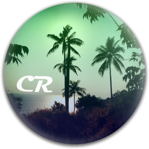 Design 165737 Disc Golf and Ultimate Discs