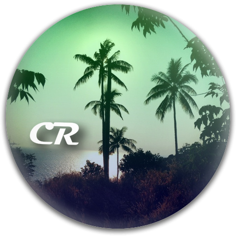 Design 165748 Disc Golf and Ultimate Discs