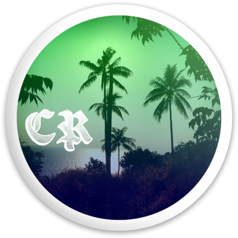 Design 165725 Disc Golf and Ultimate Discs