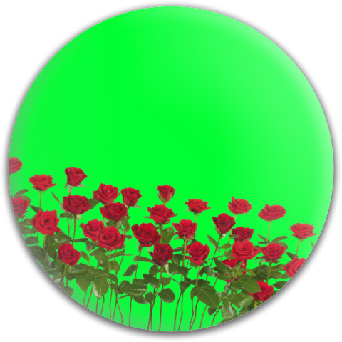 Design 167450 Disc Golf and Ultimate Discs