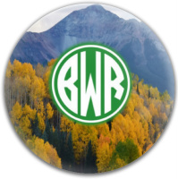 Design 163109 Disc Golf and Ultimate Discs Image