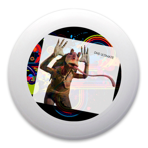 Design 169552 Disc Golf and Ultimate Discs