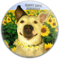 Sophie- birthday