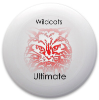 Design 175971 Disc Golf and Ultimate Discs Image