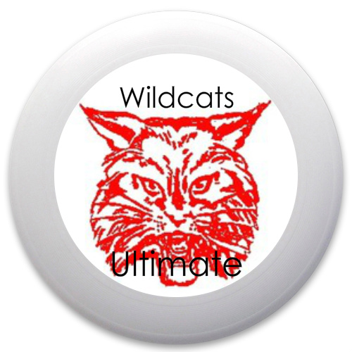 Design 175981 Disc Golf and Ultimate Discs