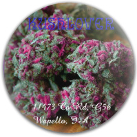 Kush