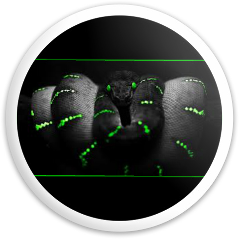 Design 180177 Disc Golf and Ultimate Discs
