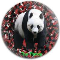 The Panda