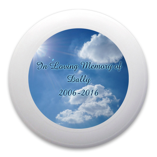 Design 185743 Disc Golf and Ultimate Discs