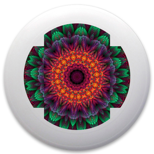 Design 189172 Disc Golf and Ultimate Discs