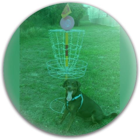 Design 189445 Disc Golf and Ultimate Discs