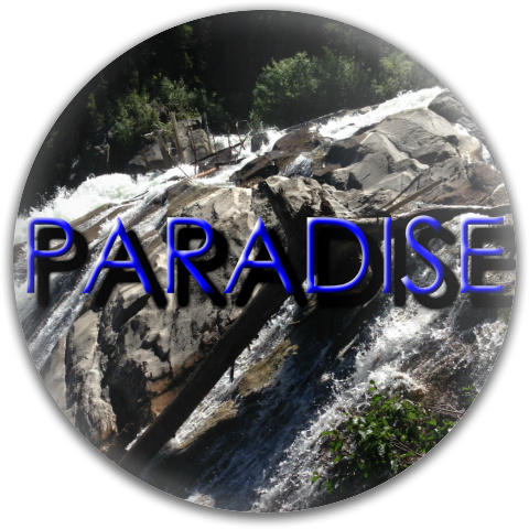 Design 189823 Disc Golf and Ultimate Discs