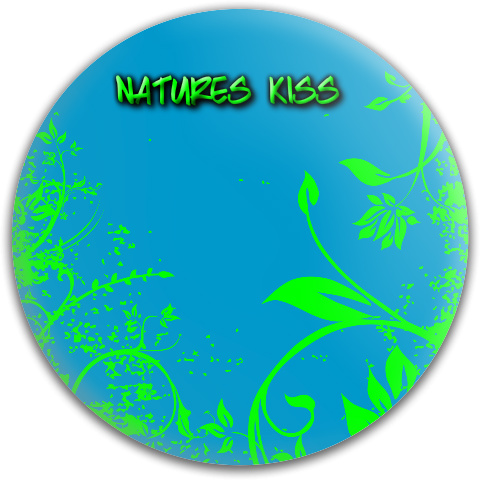 Design 189774 Disc Golf and Ultimate Discs