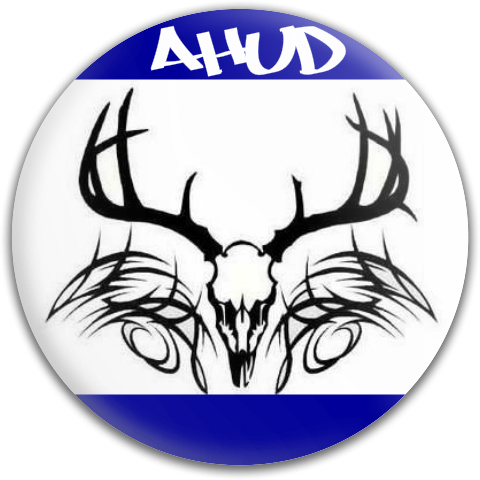 Design 181234 Disc Golf and Ultimate Discs