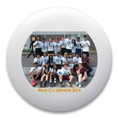 Design 190254 Disc Golf and Ultimate Discs