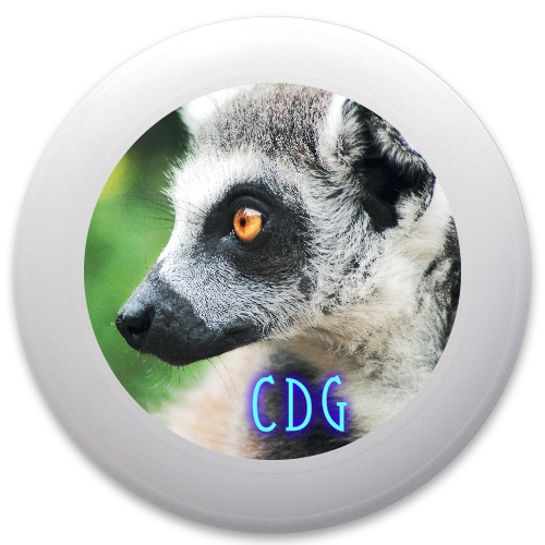 Design 195218 Disc Golf and Ultimate Discs